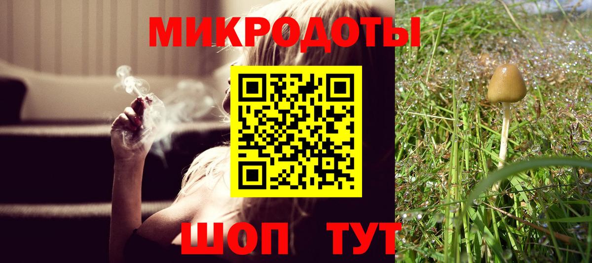 Галлюциногенные грибы GOLDEN TEACHER  где продают наркотики  Отрадное  Вход с VPN 